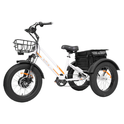 DWMEIGI MG1703-ZEUS Fat Tire Electric Trike 48V 750W 18.2Ah, 45 Mile Range - 100% Financing Available!