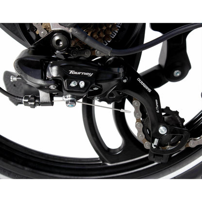 eJOE EPIK SWAN Step-Through Electric Bike 48V 11Ah 860W Peak, Range up to 40 miles, Max speed 25mph - 100% Financing Available!