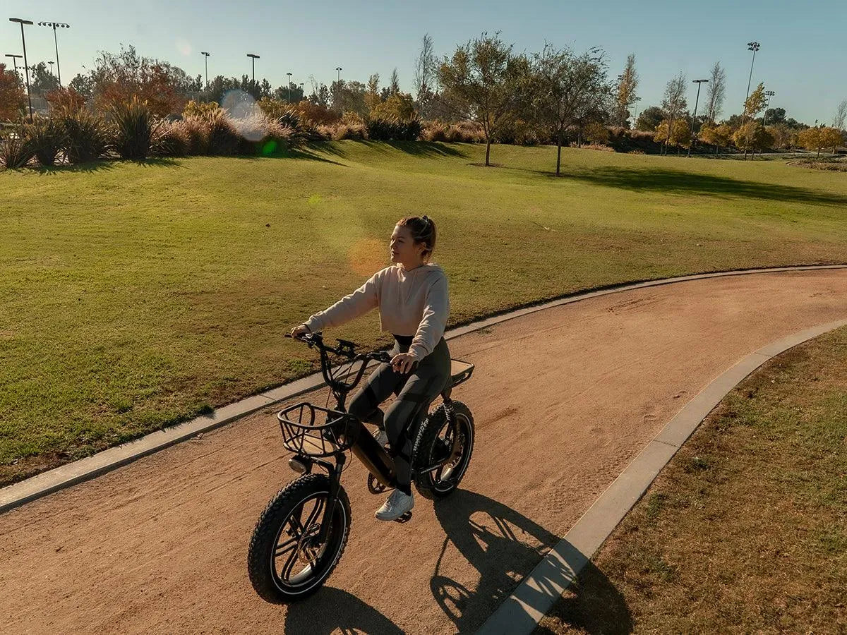 Himiway | Escape Pro Long-Range Moped-Style Electric Bike