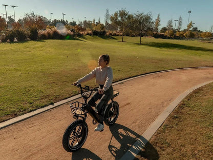 Himiway | Escape Pro Long-Range Moped-Style Electric Bike