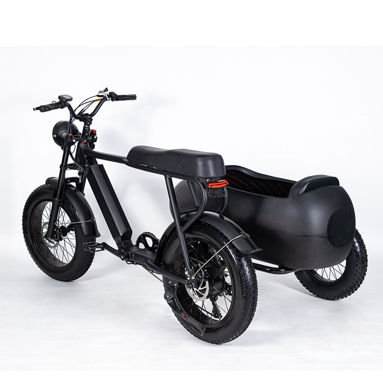 SoverSky | | E-Bike Sidecar Attachment | 750W Compatible