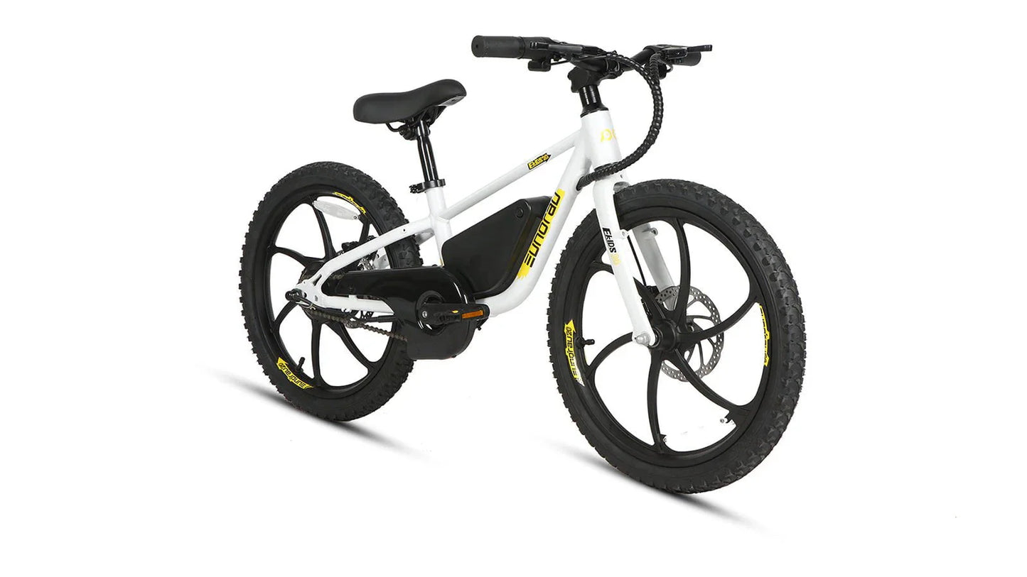 Shipping End of July - Eunorau EKIDS-20 Kids Electric Bike 24V, 10Ah,  250W, Dual Brake System, Hub Motor, Range up to 20 Miles, Top Speed 15.5MPH, Max Load 200 lbs - 100% Financing Available!