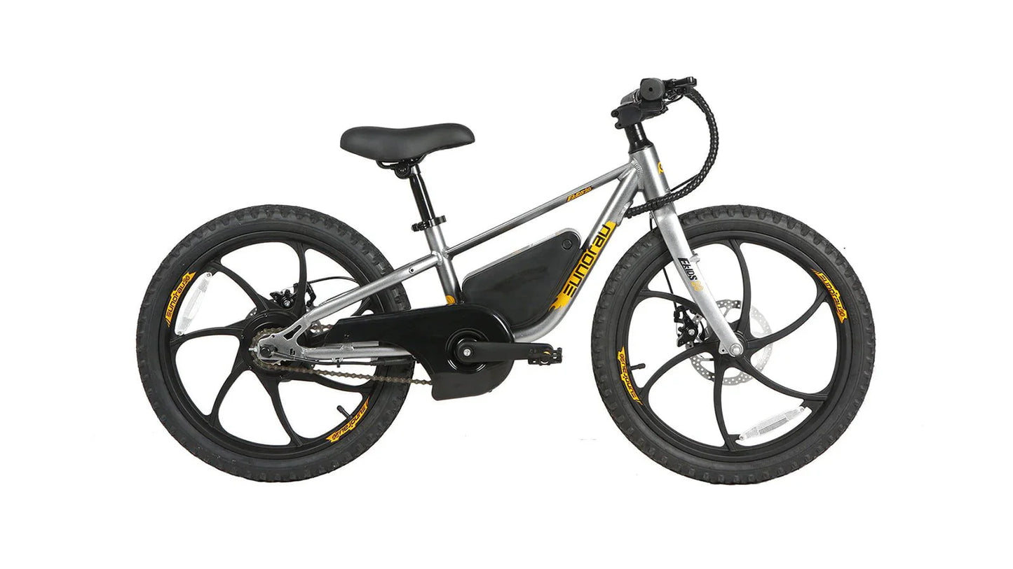 Shipping End of July - Eunorau EKIDS-20 Kids Electric Bike 24V, 10Ah,  250W, Dual Brake System, Hub Motor, Range up to 20 Miles, Top Speed 15.5MPH, Max Load 200 lbs - 100% Financing Available!