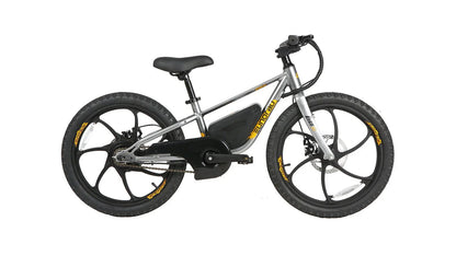 Shipping End of July - Eunorau EKIDS-20 Kids Electric Bike 24V, 10Ah,  250W, Dual Brake System, Hub Motor, Range up to 20 Miles, Top Speed 15.5MPH, Max Load 200 lbs - 100% Financing Available!