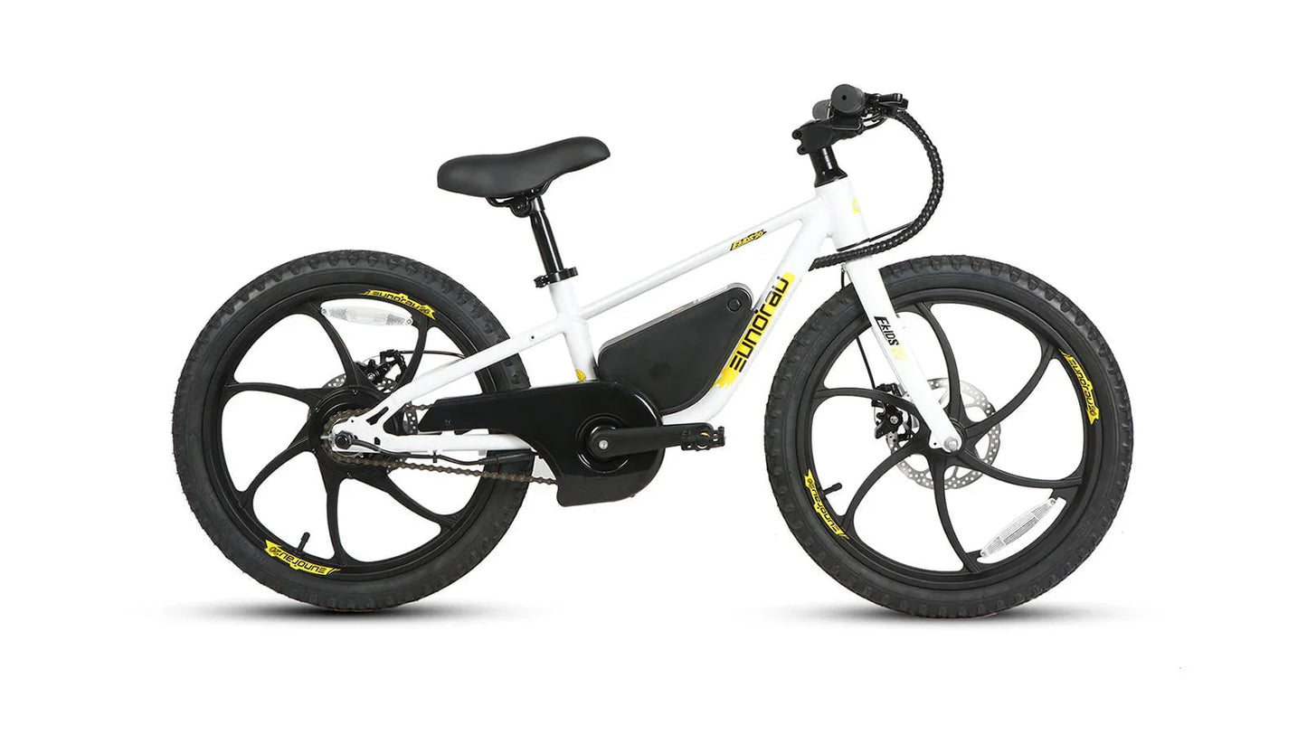 Shipping End of July - Eunorau EKIDS-20 Kids Electric Bike 24V, 10Ah,  250W, Dual Brake System, Hub Motor, Range up to 20 Miles, Top Speed 15.5MPH, Max Load 200 lbs - 100% Financing Available!