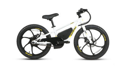 Shipping End of July - Eunorau EKIDS-20 Kids Electric Bike 24V, 10Ah,  250W, Dual Brake System, Hub Motor, Range up to 20 Miles, Top Speed 15.5MPH, Max Load 200 lbs - 100% Financing Available!