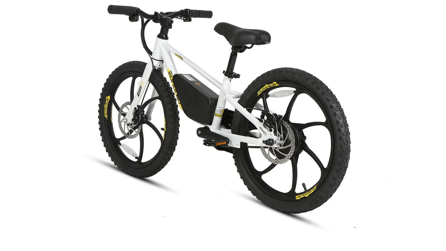 Shipping End of July - Eunorau EKIDS-20 Kids Electric Bike 24V, 10Ah,  250W, Dual Brake System, Hub Motor, Range up to 20 Miles, Top Speed 15.5MPH, Max Load 200 lbs - 100% Financing Available!