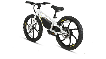Shipping End of July - Eunorau EKIDS-20 Kids Electric Bike 24V, 10Ah,  250W, Dual Brake System, Hub Motor, Range up to 20 Miles, Top Speed 15.5MPH, Max Load 200 lbs - 100% Financing Available!