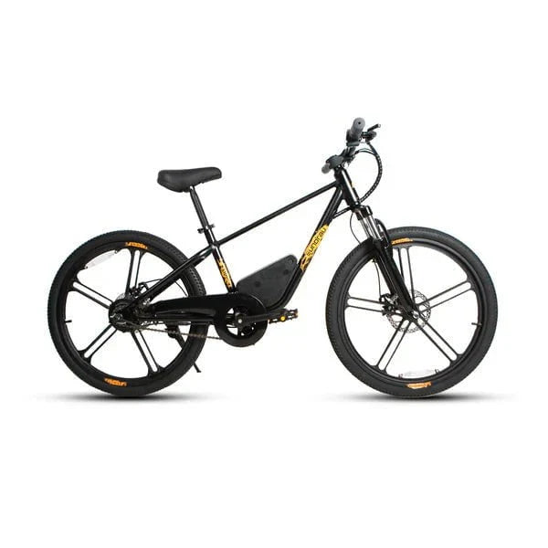 Shipping End of July - Eunorau EKIDS-24 Kids Electric Bike 24V, 10Ah,  250W Hub Motor, Range up to 20 Miles, Top Speed 15.5MPH, Max Load 200 lbs - 100% Financing Available!