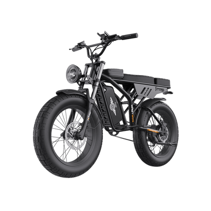 Freego | Shotgun Prime F2 Pro Cargo E-Bike | 1500W - F2 Pro(48V 22.5AH) Standard Version