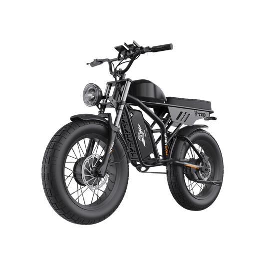 Freego | Flash F3 Pro Max Dual Motor Fat Tire E-Bike | 2592Wh