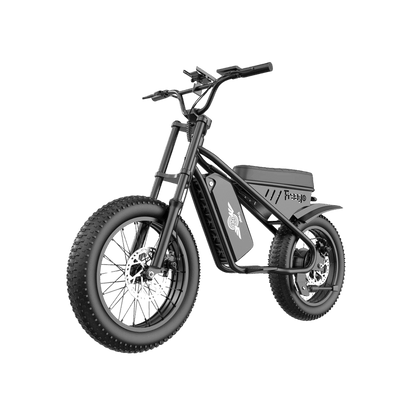 Freego | Mini M1 Kids Electric Motorcycle | 500W - M1 Black（10.4AH）