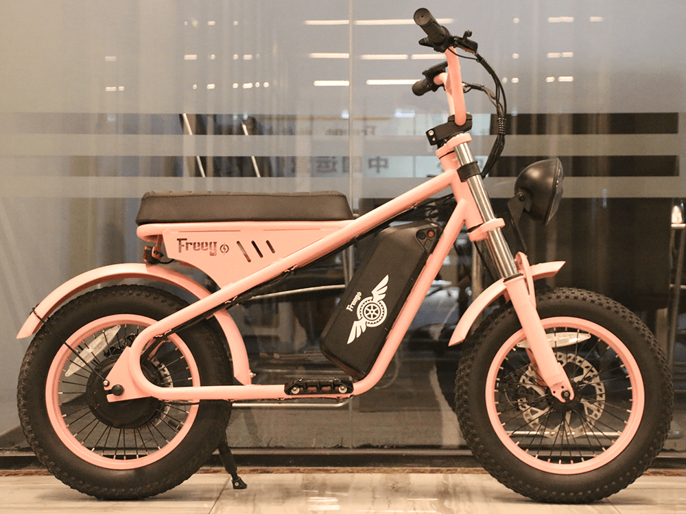 Freego | Mini M1 Kids Electric Motorcycle | 500W - M1 Black（10.4AH）