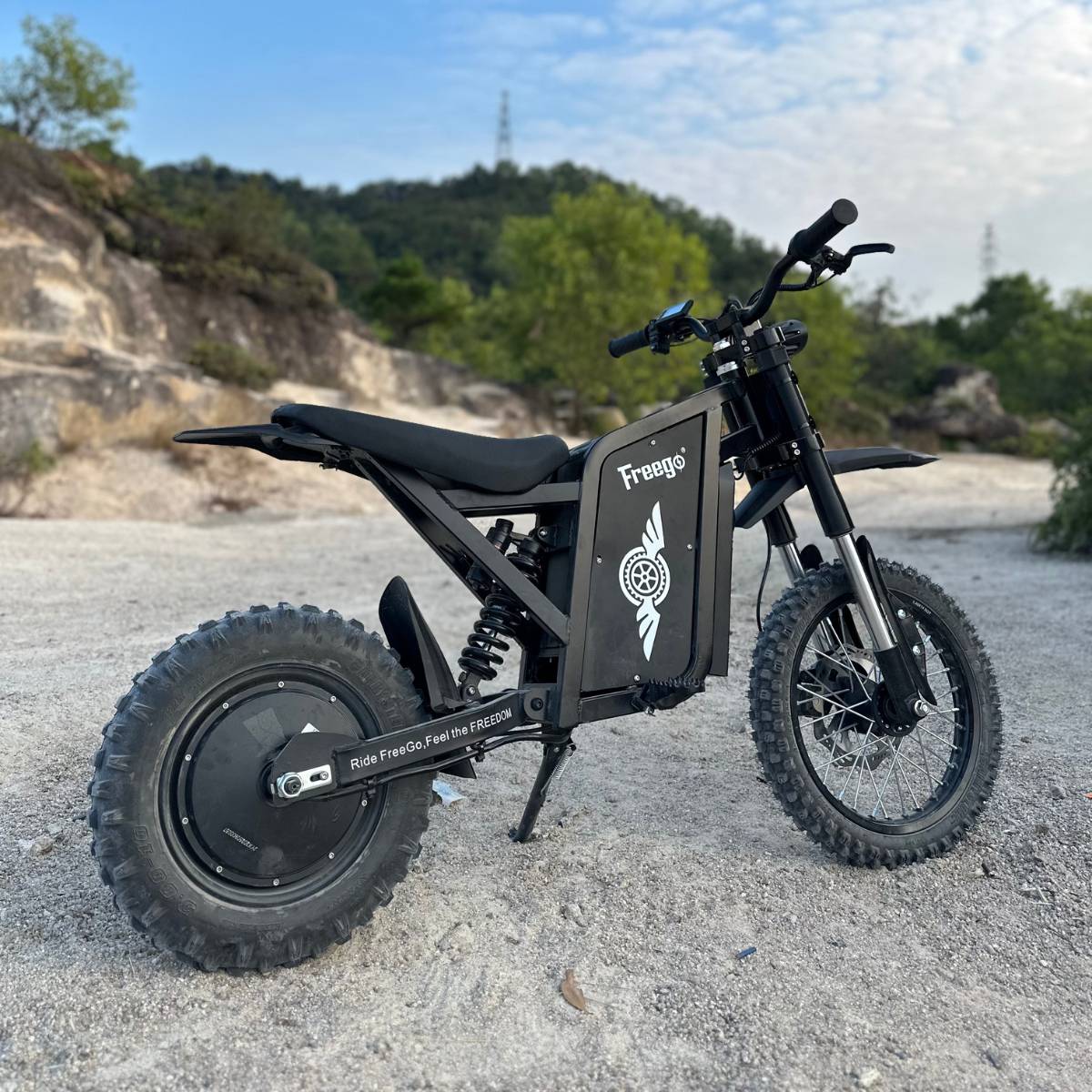 Freego | X0 Electric Mini Bike | 3600W Peak, Dual Mode