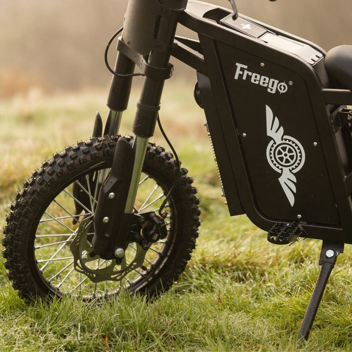 Freego | X0 Electric Mini Bike | 3600W Peak, Dual Mode
