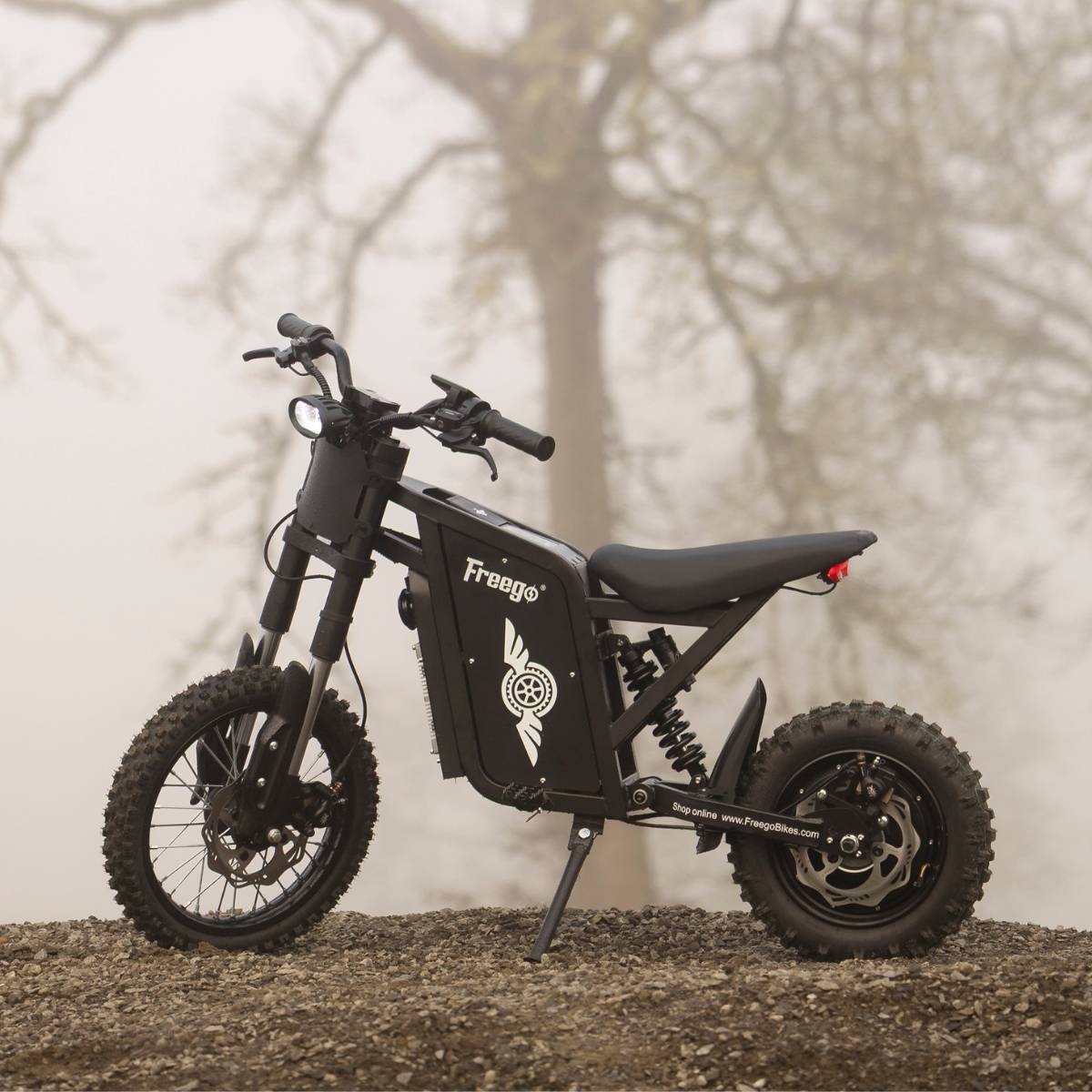Freego | X0 Electric Mini Bike | 3600W Peak, Dual Mode