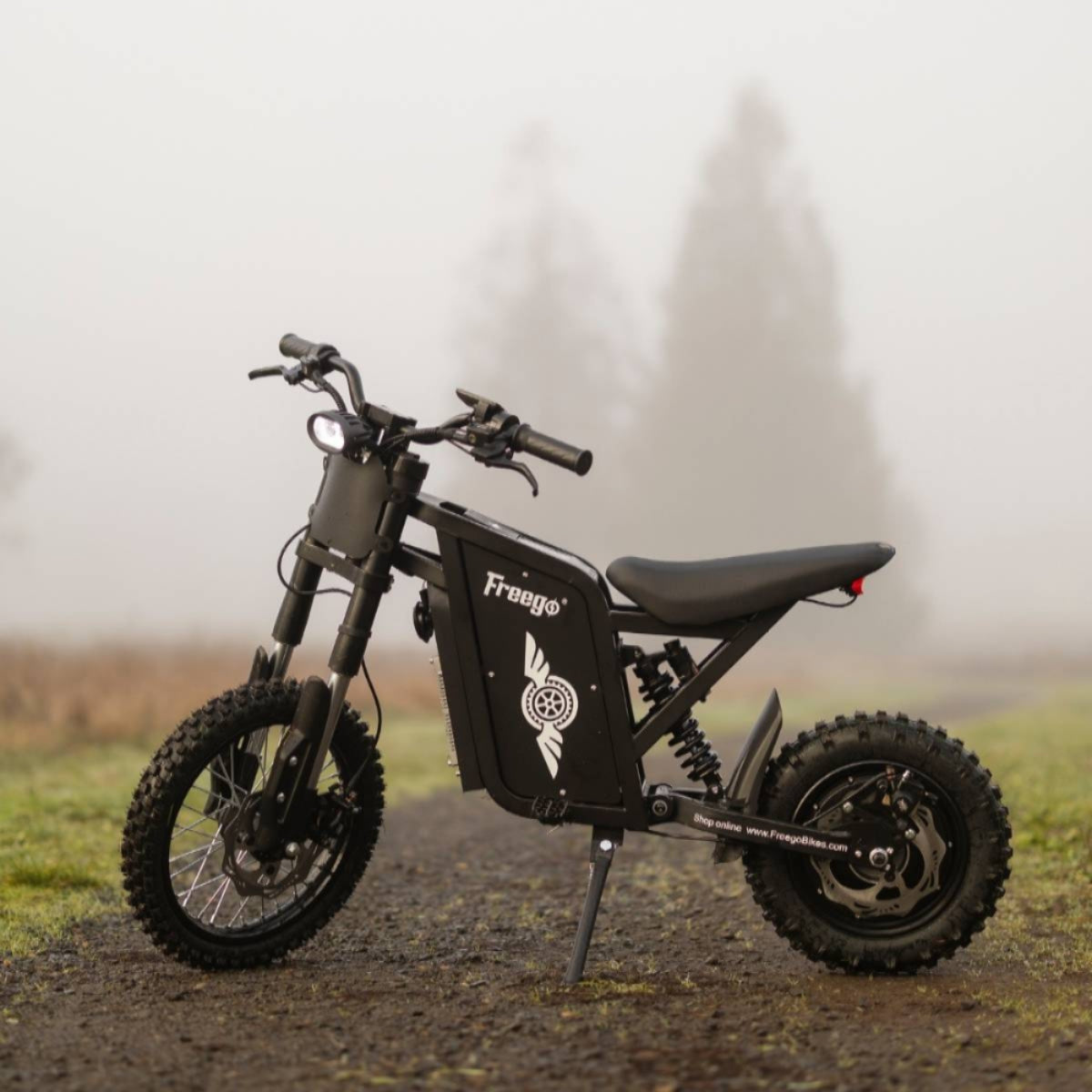 Freego | X0 Electric Mini Bike | 3600W Peak, Dual Mode