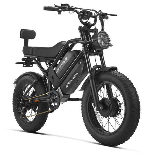 HappyRun | G70 Pro Dual-Motor Electric Cargo Bike Dual Battery