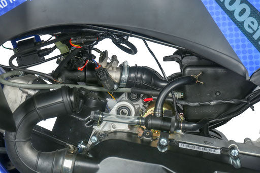 Vitacci Ultra Sport 200  Pentora EFI Automatic, FULL SIZE, Electric Start