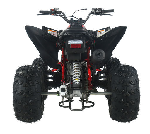 Vitacci Ultra Sport 200  Pentora EFI Automatic, FULL SIZE, Electric Start