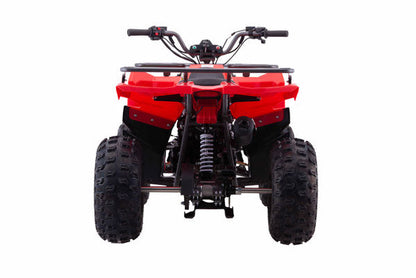 Vitacci IRide 125cc Mid Size Youth ATV, Electric Start, Automatic Trans, Reverse, Over head Cam, Balanced Shaft Engine