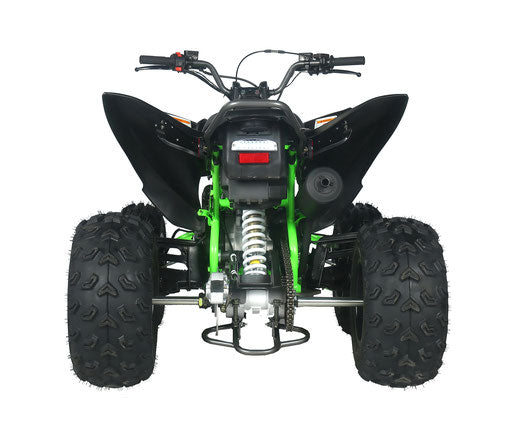 Vitacci Ultra Sport 200  Pentora EFI Automatic, FULL SIZE, Electric Start