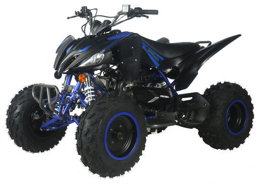 Vitacci Ultra Sport 200  Pentora EFI Automatic, FULL SIZE, Electric Start
