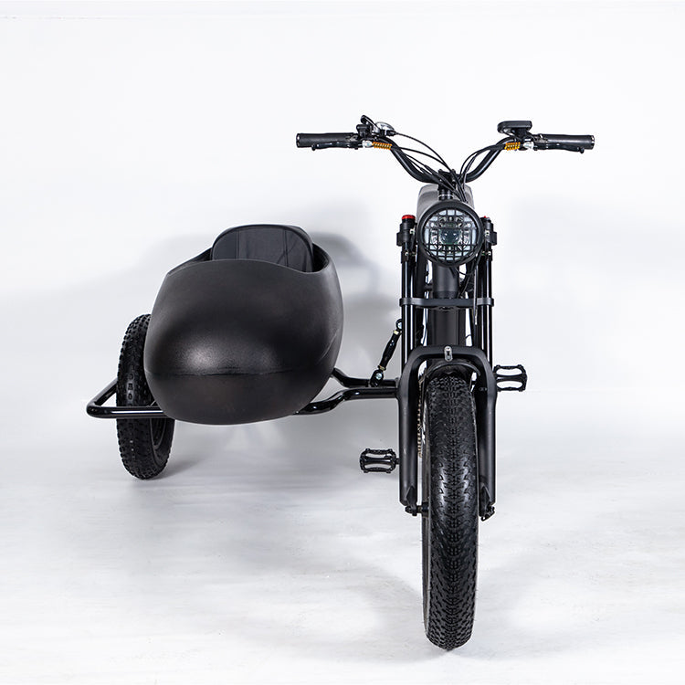 SoverSky | | E-Bike Sidecar Attachment | 750W Compatible