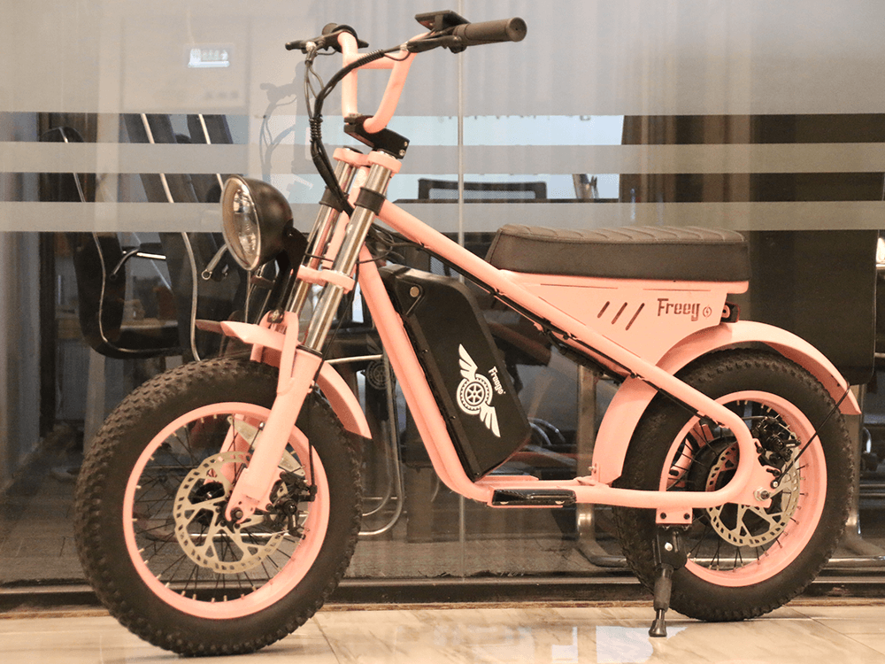 Freego | Mini M1 Kids Electric Motorcycle | 500W - M1 Black（10.4AH）