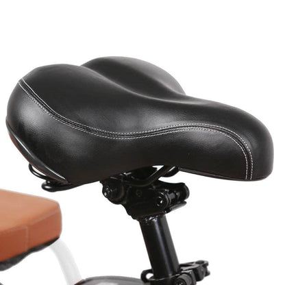Nakto City Cargo Pony 36V, 250W Hub Motor Electric City Bike - 100% Financing Available!