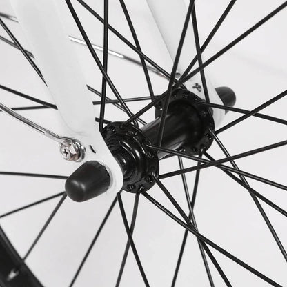 Nakto City Cargo Pony 36V, 250W Hub Motor Electric City Bike - 100% Financing Available!