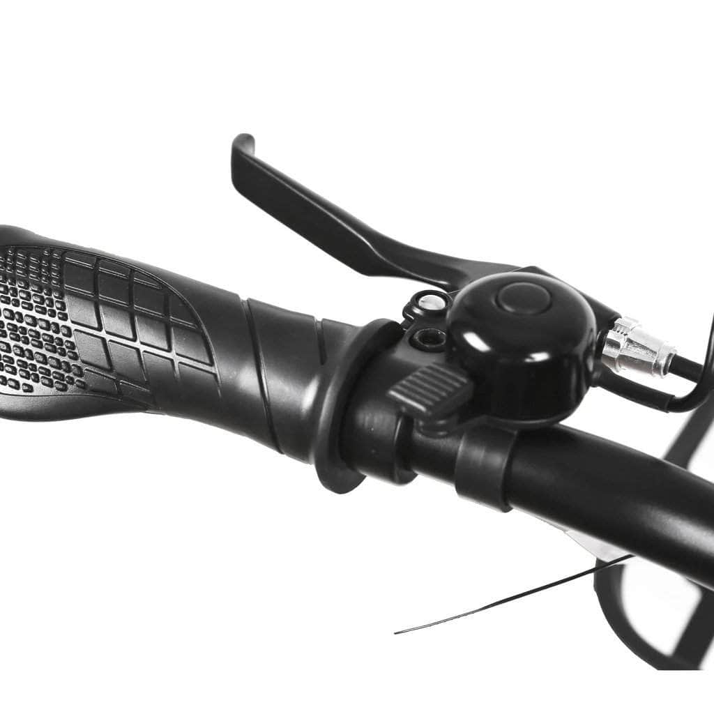 Nakto City Cargo Pony 36V, 250W Hub Motor Electric City Bike - 100% Financing Available!