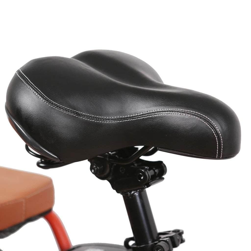 Nakto City Cargo Pony 36V, 250W Hub Motor Electric City Bike - 100% Financing Available!