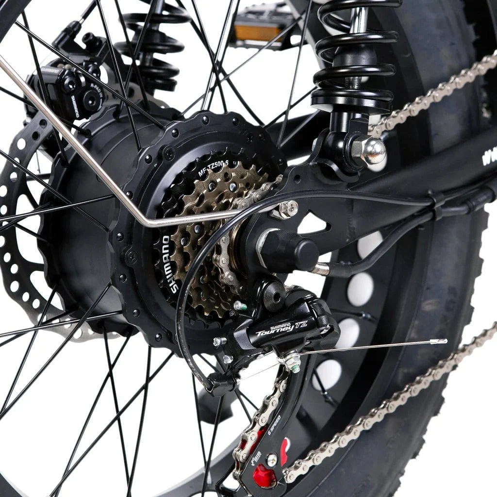 Nakto F2 and F2 Plus Electric Bike - 48V, 750W peak, 16Ah, range 60 miles, max speed 28 mph, max load 400 lbs., banana seat