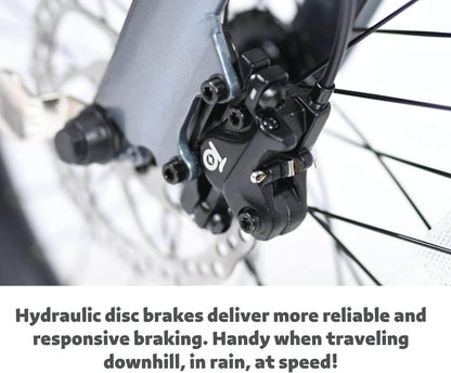 Qualisports Dolphin Folding Electric City Bike  48V  500W  10.5Ah - option for dual battery! 100% Financing Available!