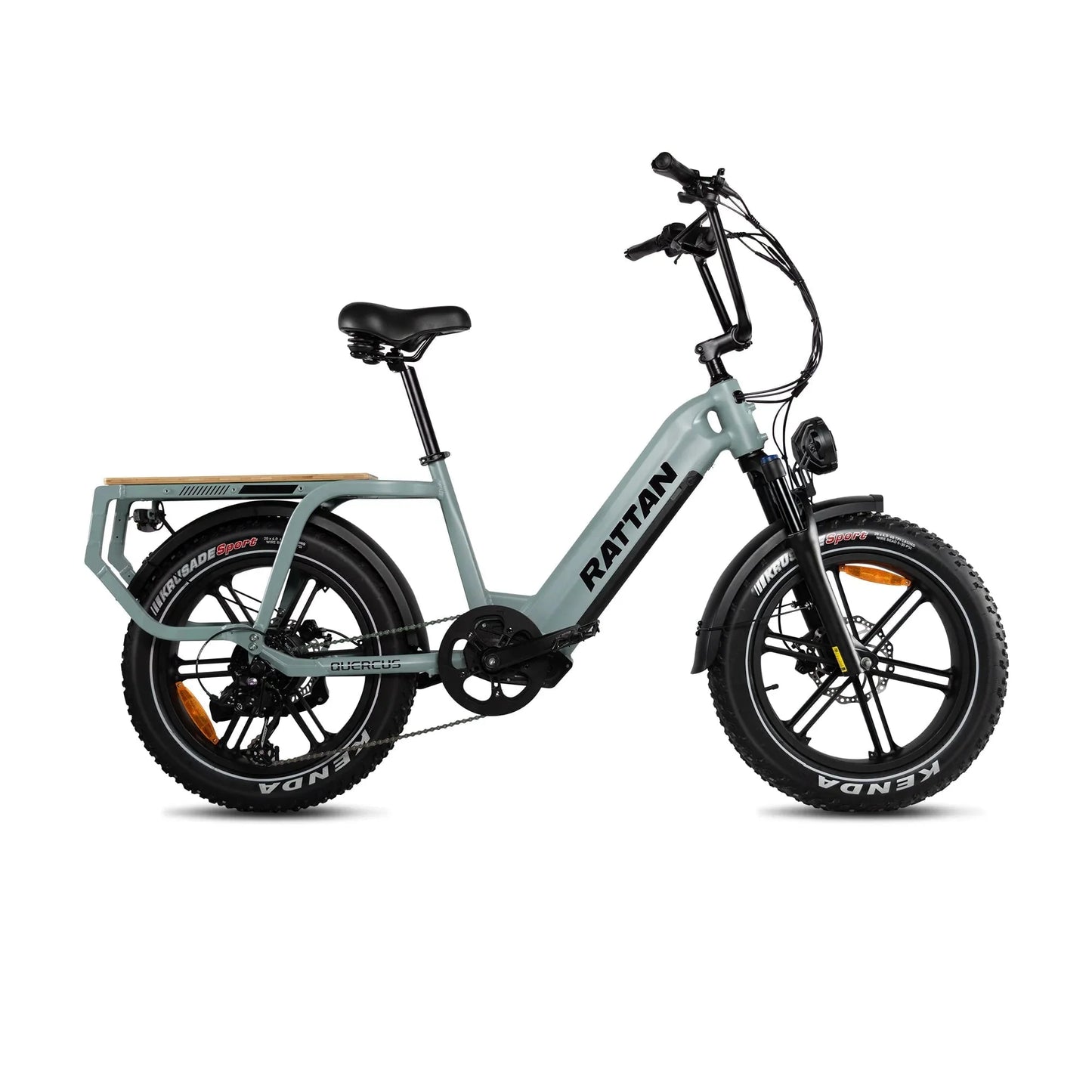 Rattan Quercus Electric Bike 48v 750W 20Ah Brushless Hub Motor 80Nm, Range 80 miles, 450 lbs payload capacity