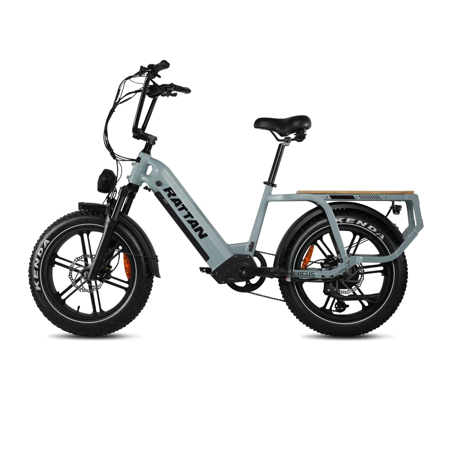 Rattan Quercus Electric Bike 48v 750W 20Ah Brushless Hub Motor 80Nm, Range 80 miles, 450 lbs payload capacity