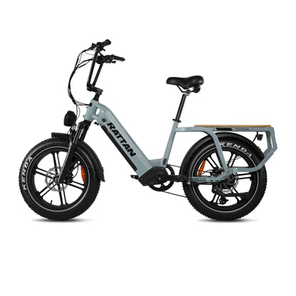Rattan Quercus Electric Bike 48v 750W 20Ah Brushless Hub Motor 80Nm, Range 80 miles, 450 lbs payload capacity