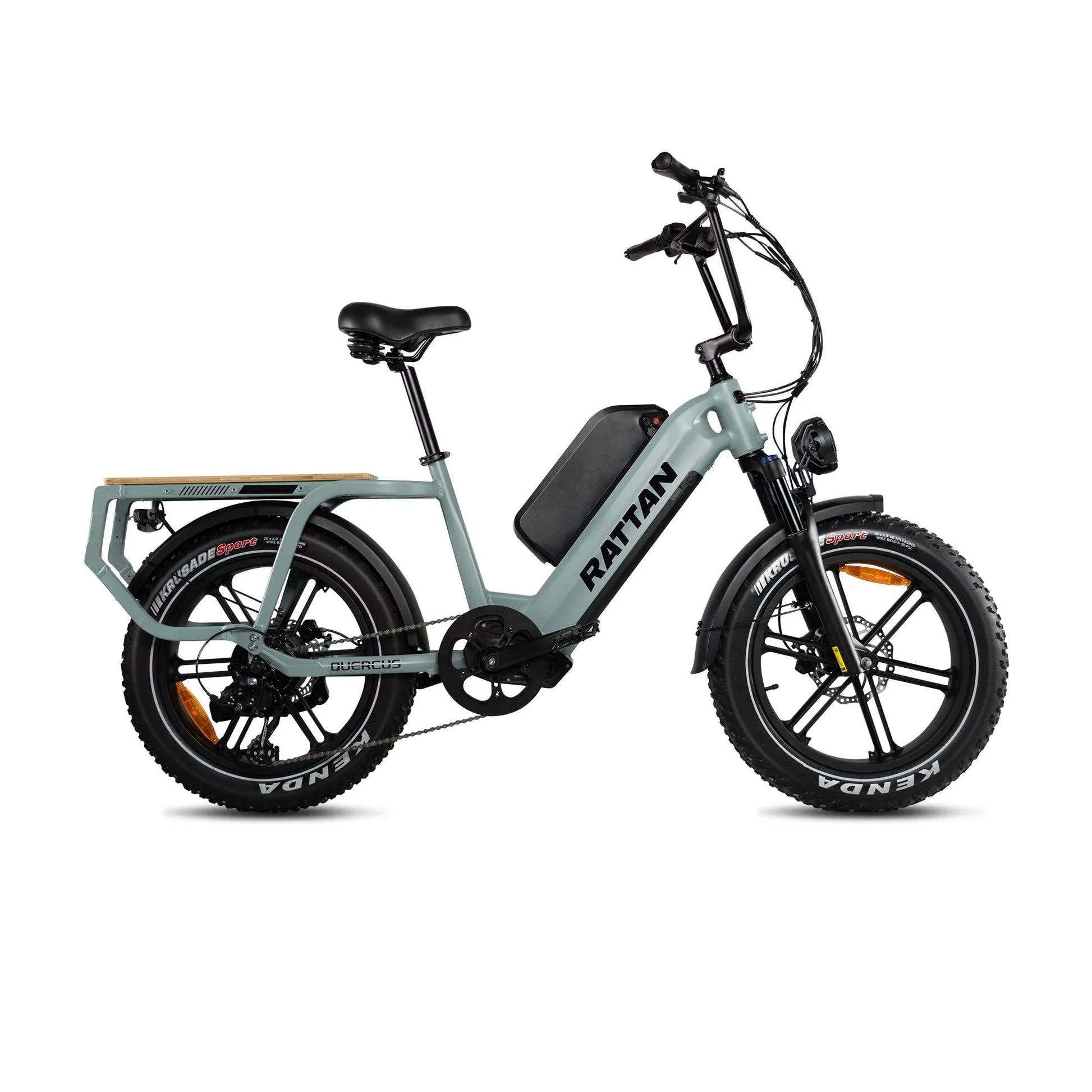 Rattan Quercus Electric Bike 48v 750W 20Ah Brushless Hub Motor 80Nm, Range 80 miles, 450 lbs payload capacity