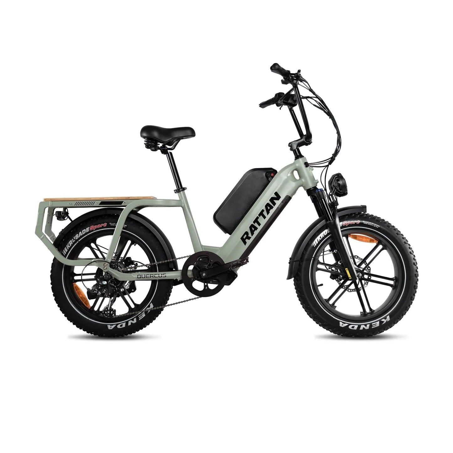Rattan Quercus Electric Bike 48v 750W 20Ah Brushless Hub Motor 80Nm, Range 80 miles, 450 lbs payload capacity