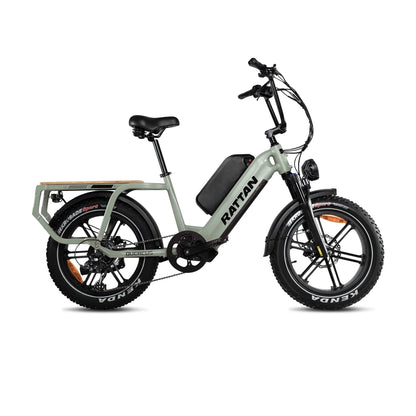 Rattan Quercus Electric Bike 48v 750W 20Ah Brushless Hub Motor 80Nm, Range 80 miles, 450 lbs payload capacity