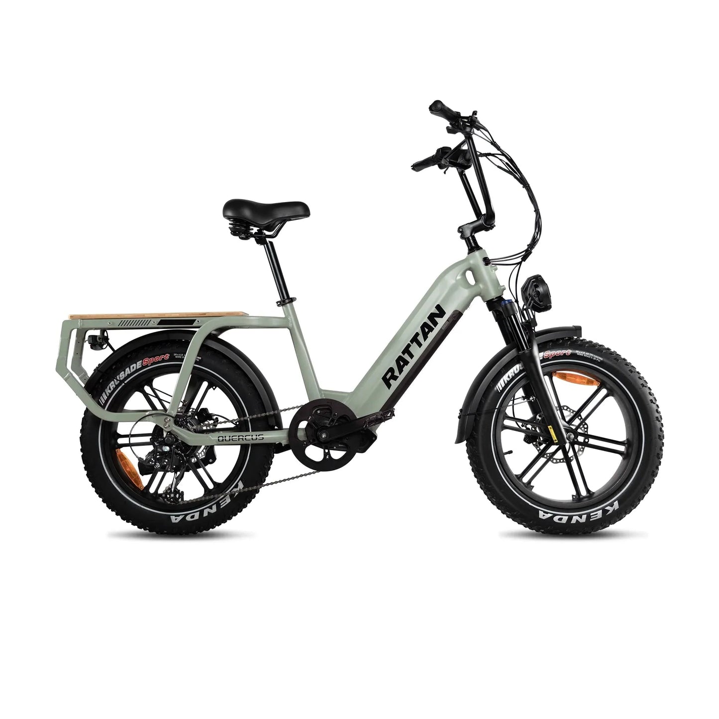 Rattan Quercus Electric Bike 48v 750W 20Ah Brushless Hub Motor 80Nm, Range 80 miles, 450 lbs payload capacity