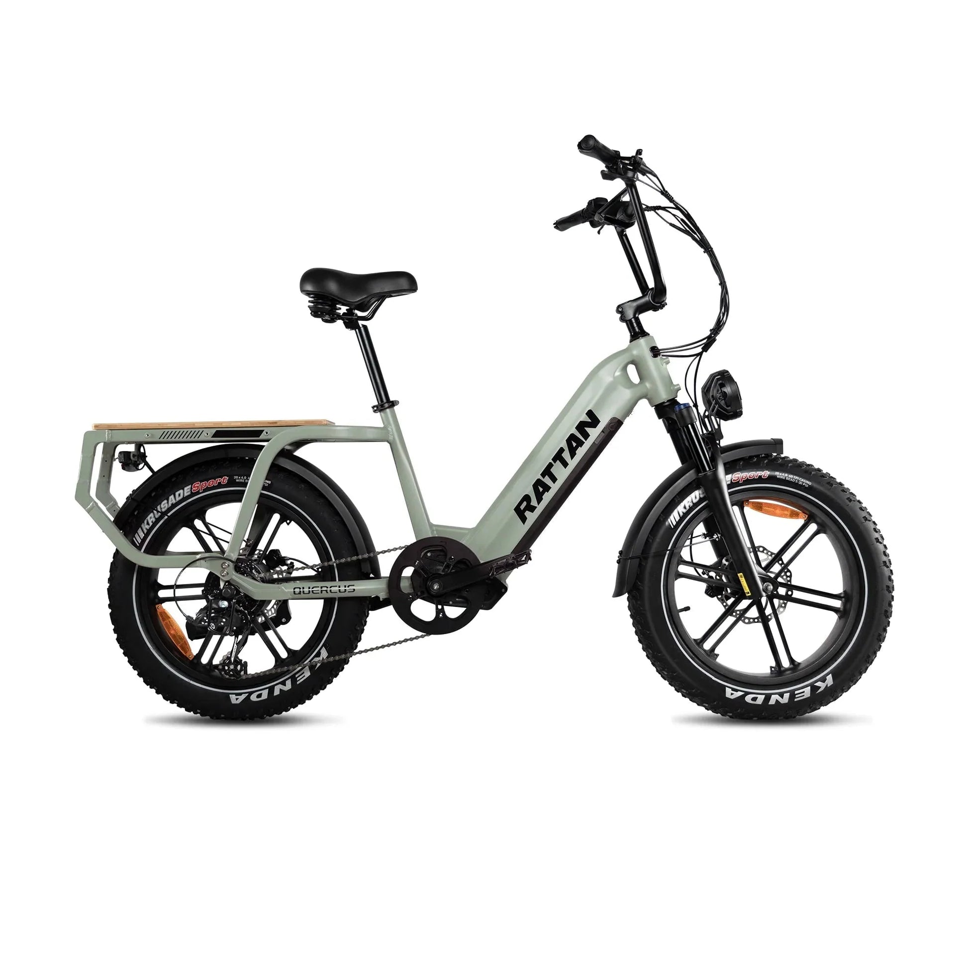 Rattan Quercus Electric Bike 48v 750W 20Ah Brushless Hub Motor 80Nm, Range 80 miles, 450 lbs payload capacity