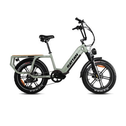 Rattan Quercus Electric Bike 48v 750W 20Ah Brushless Hub Motor 80Nm, Range 80 miles, 450 lbs payload capacity