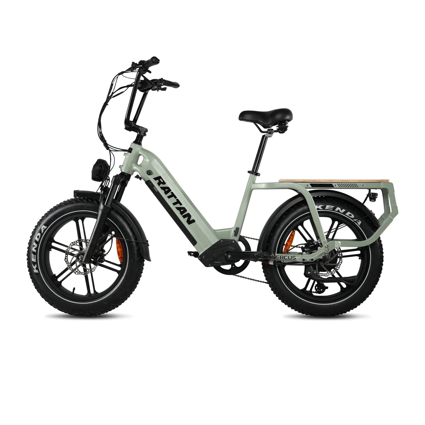 Rattan Quercus Electric Bike 48v 750W 20Ah Brushless Hub Motor 80Nm, Range 80 miles, 450 lbs payload capacity