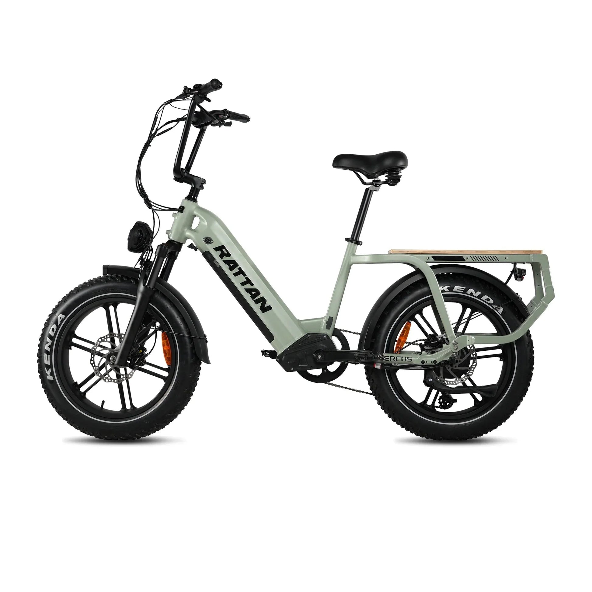 Rattan Quercus Electric Bike 48v 750W 20Ah Brushless Hub Motor 80Nm, Range 80 miles, 450 lbs payload capacity