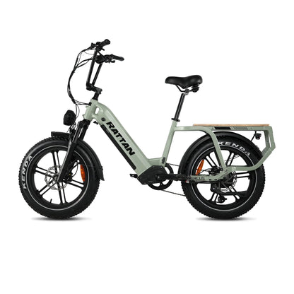 Rattan Quercus Electric Bike 48v 750W 20Ah Brushless Hub Motor 80Nm, Range 80 miles, 450 lbs payload capacity