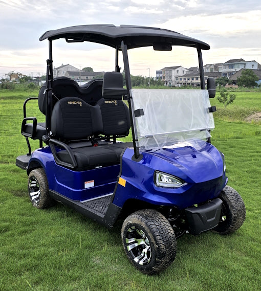 48V Electric Golf Cart 4 Seater Renegade X Edition Utility Golf UTV - BLACK