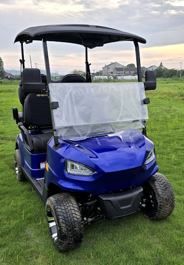48V Electric Golf Cart 4 Seater Renegade X Edition Utility Golf UTV - BLACK