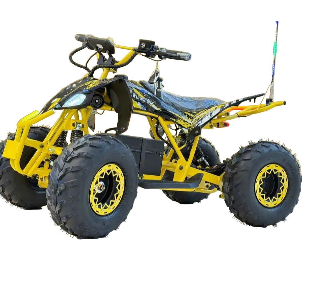 Electric ATV 36V 20Ah 800W for Kids & Teens Age 8-14